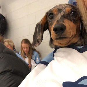 Meet your Posher, Alan